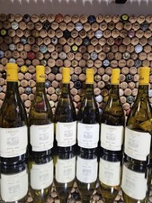 Verticale Cervaro Della Sala 6