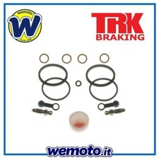 Kit Riparazione Revisione Pinza Freno Posteriore per Suzuki GSX 750 Inazuma 1999