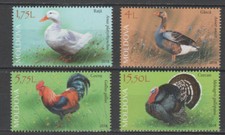 Moldavia 2018 pollame