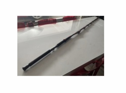 Canna pesca daiwa - canna, saltiga
