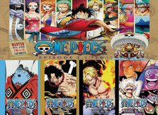 One Piece Anime DVD Set