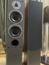Dynaudio Audience 72 - Cherry