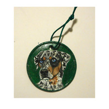 Catahoula Leopard  Dog Custom