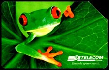 G AA 84 C&C 3162 SCHEDA TELEFONICA USATA ANIMALI RAGANELLA BILINGUE