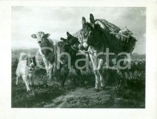 1935 ca MOSTRE ARTE Filippo PALIZZI Asinello bacia madre Fotografia coeva quadro