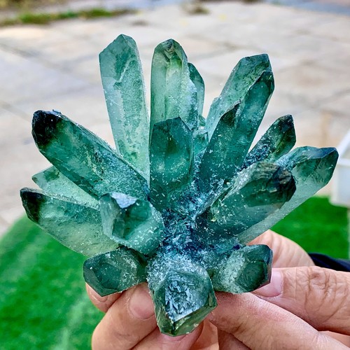 296g new find verde - new,