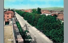 Cuneo Narzole viale della