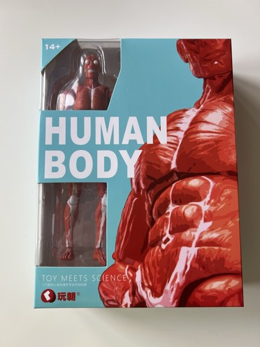 Playtime toys corpo uomo - toys,