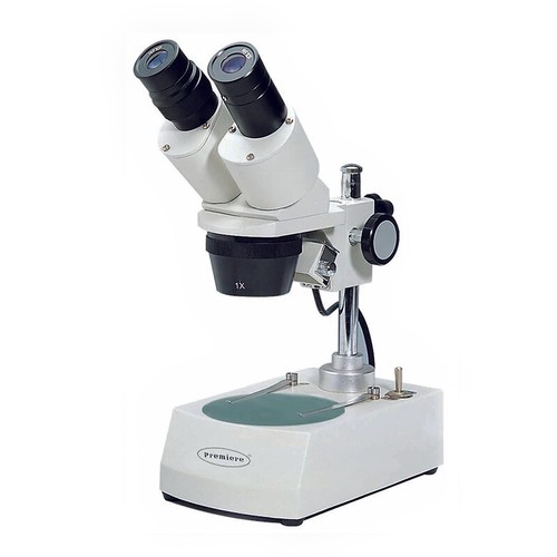 Stereomicroscopio microscopio - stereomicroscopio,