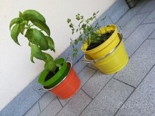 portavasi piante giardino balcone metallo ciotola
