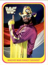 card wwf wrestling merlin 1991
