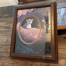Schim Schimmel Framed