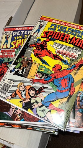 Spettacolare lotto spider - spettacolare,
