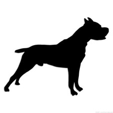 Boxer Cane Corso Pitbull -