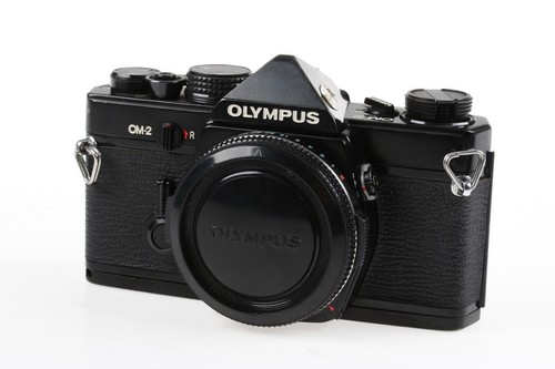 Custodia olympus - olympus,