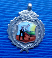 Snooker Biliardo Piscina