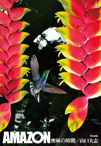 Hiroshi yamaguchi photo - yamaguchi,