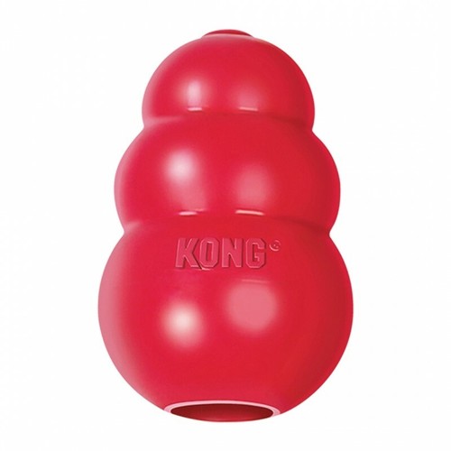 Kong giocattolo cane - kong,