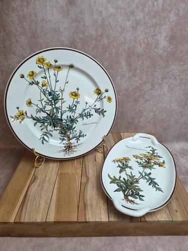 Lot plats villeroy boch - villeroy,