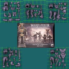 Solar Auxilia Tattico Command