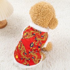 Costume per cani di Capodanno