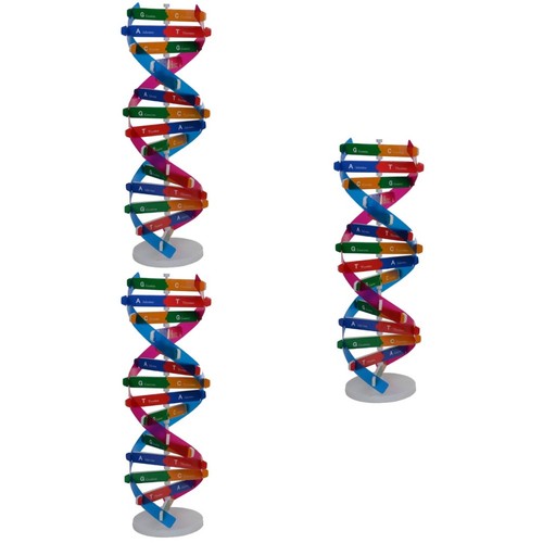 Pezzi modello dna - 3,