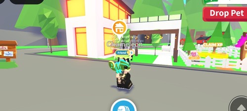 Pet adopt chameleon - pet, neon