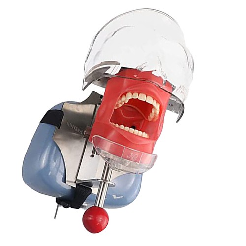 Simulatore dentale fascia tipo