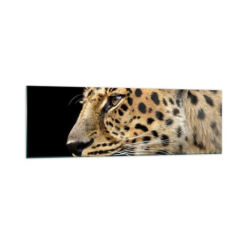 Quadro vetro 160x50cm - vetro,
