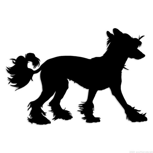 Cane crestato cinese - -, adesivo