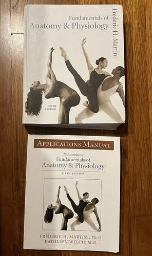 Fundamentals anatomy - fundamentals,