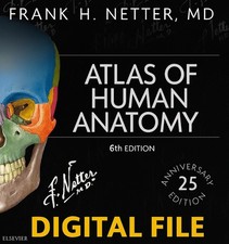 NETTER ATLAS OF HUMAN ANATOMY