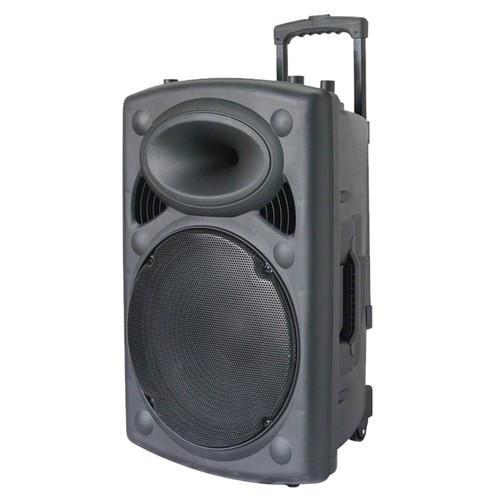 Cassa acustica amplificata - , 12"