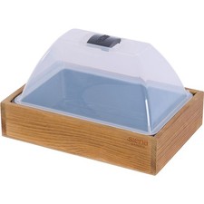 Serra Mini Serra Anzuchthaus Midi Legno Con Klimahaube Queltabs