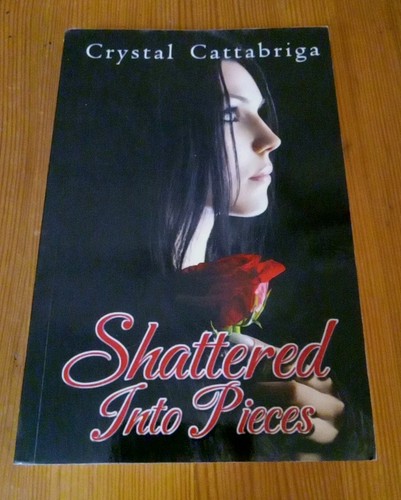 Shattered into pieces - into, by