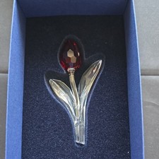 SWAROVSKI SCS Rinnovo