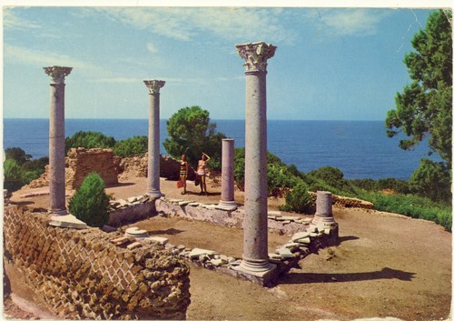 Isola giannutri grosseto - isola, di
