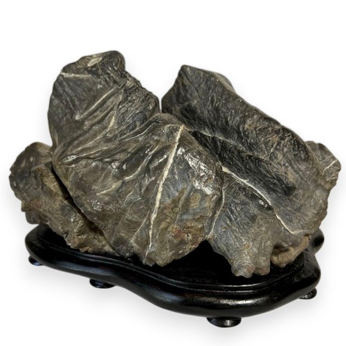 Pietra giapponese suiseki - pietra,