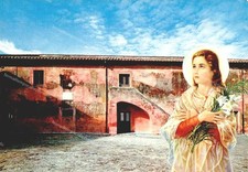 dz262 cartolina ferriere,casa