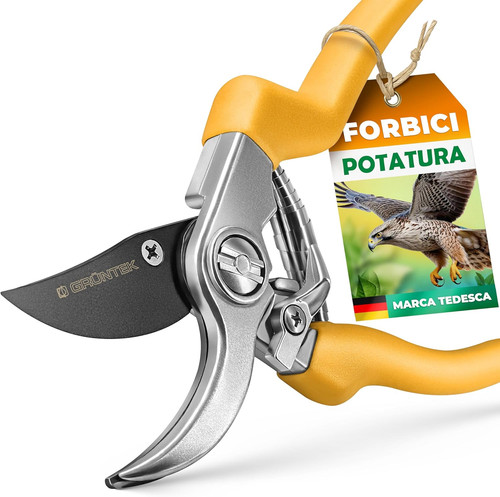 Forbici cesoie potatura - forbici,