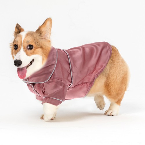 Abbigliamento per cani - abbigliamento,