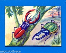 ANIMALI - Lampo 1964 - Figurina-Sticker n. 336 - CERVO VOLANTE - SCARABEO -New