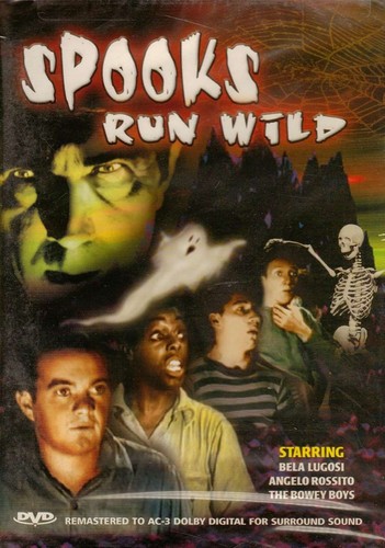 Spooks run wild - run, bella