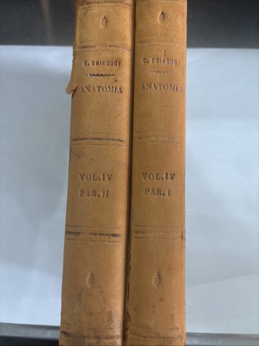 Istituzioni anatomia - istituzioni,