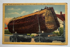 ca 1938 OR Postcard Oregon