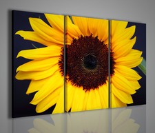 QUADRI MODERNI SUNFLOWER IV QUADRO MODERNO GIRASOLE FIORE ARREDO CASA ATTIVITA'