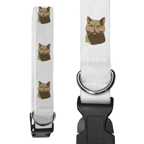 Collari per cani british - collari,
