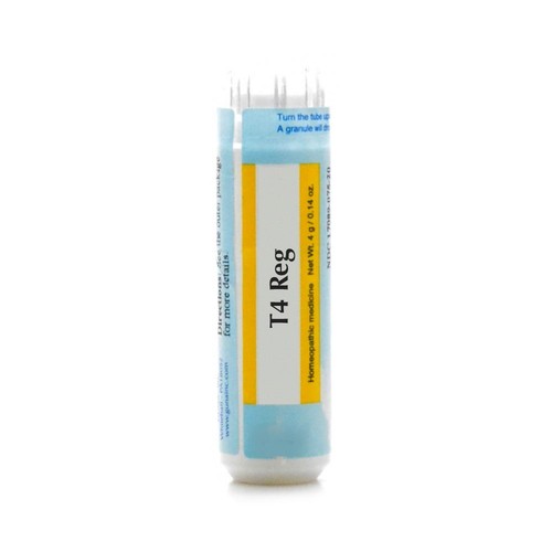 Guna reg tubo contenente - t4, :-