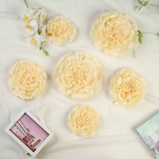 Confezione 12 Carta Fazzoletto