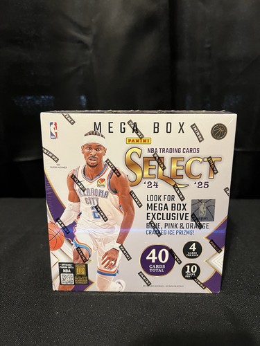 2024 panini nba select - 2024-25,